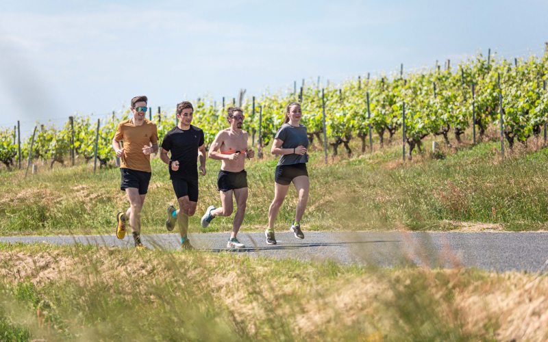 Corredores entrenando en grupo durante regreso progresivo a correr sin lesiones, plan eficaz.