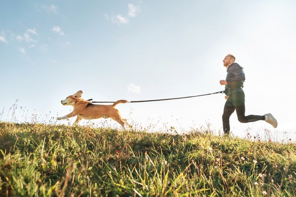 Corredor practicando canicross con su perro, entrenando para mejorar rendimiento y resistencia en carrera.