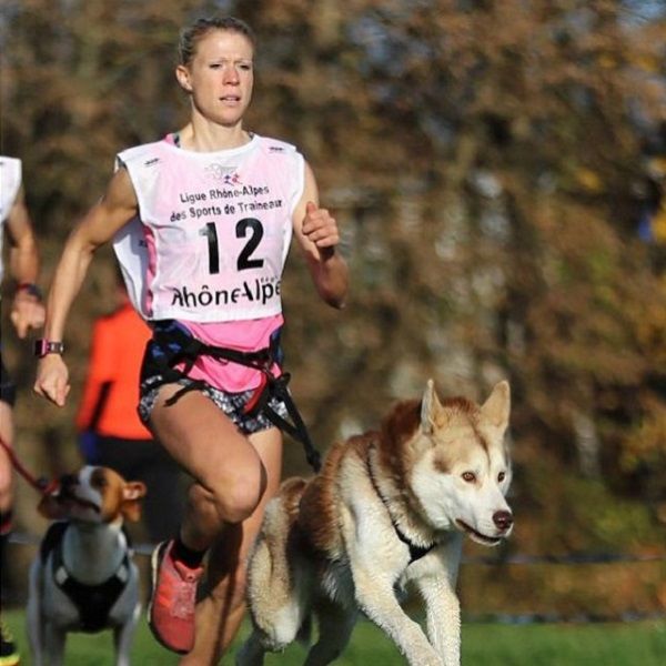 Equipamiento de canicross para correr con tu perro, arnes y cinturon para mejorar rendimiento running.