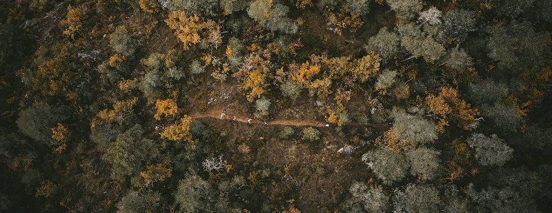 Corredor en La Monna Lisa Trail del Festival des Templiers 2024 en Millau, Francia.