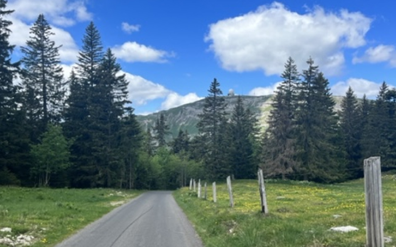 Ciclista subiendo la ruta La Barillette desde Nyon en Suiza, ciclismo de carretera.